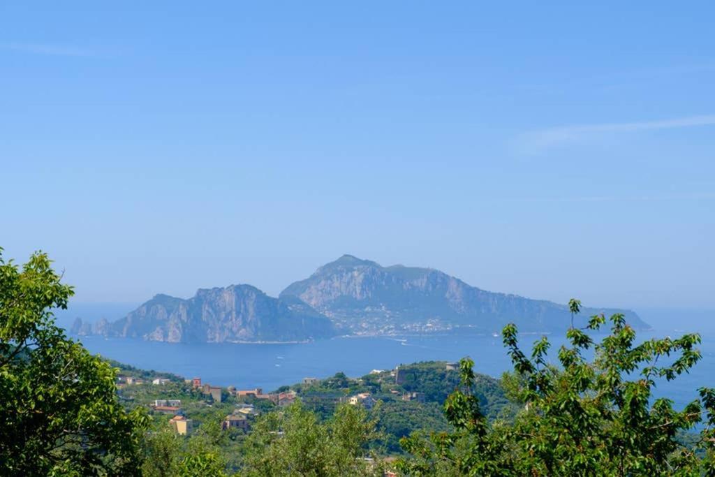 Domus Aqua Viva Βίλα Massa Lubrense Εξωτερικό φωτογραφία
